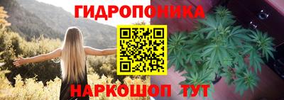прущая мука Дубна