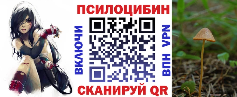 Псилоцибиновые грибы Cubensis купить Дагестанские Огни