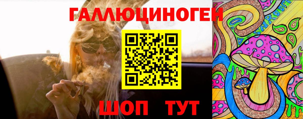 Дагестанские Огни  Псилоцибиновые грибы Cubensis  Вход с VPN  Псилоцибиновые грибы Cubensis 